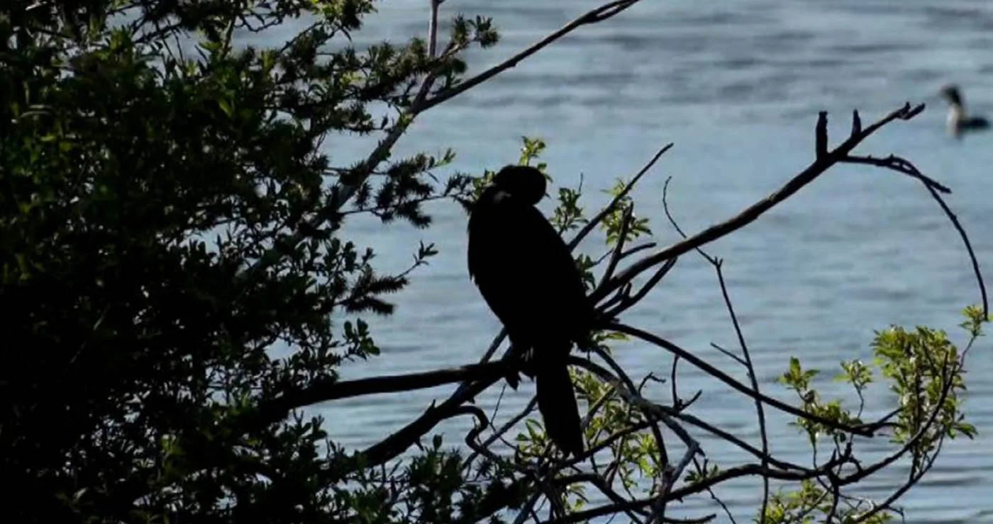 Οι λαγγόνες επέστρεψαν μετά από χρόνια στην Καστοριά