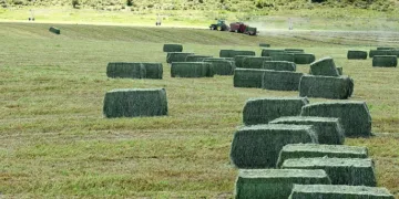 Στην έκτακτη αποζημίωση της μηδικής η Περιφερειακή Ενότητα Κοζάνης- Τα ποσά για τους δικαιούχους