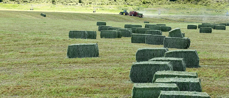 Στην έκτακτη αποζημίωση της μηδικής η Περιφερειακή Ενότητα Κοζάνης- Τα ποσά για τους δικαιούχους