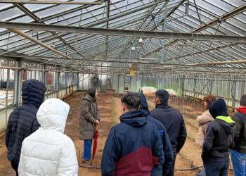 Open Days 2026 στο Πανεπιστήμιο Δυτικής Μακεδονίας: Από την πρώτη επαφή στο επόμενο βήμα