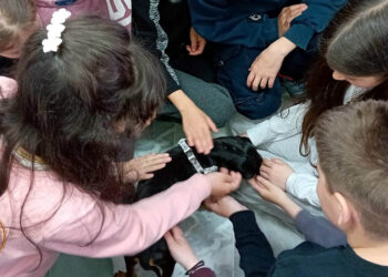 Μήνυμα φιλοζωίας από το Αμύνταιο με δράσεις στα σχολεία για τα αδέσποτα