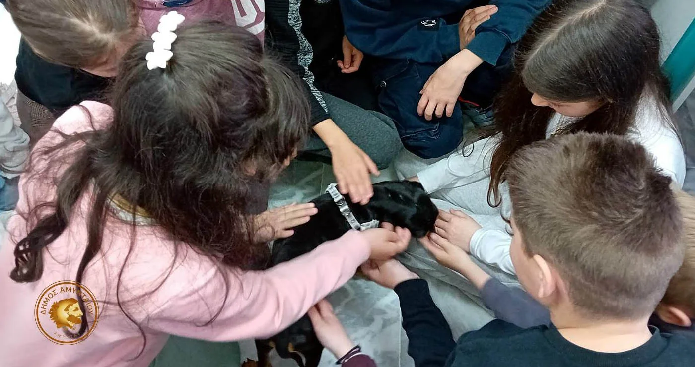 Μήνυμα φιλοζωίας από το Αμύνταιο με δράσεις στα σχολεία για τα αδέσποτα