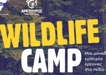 Νυμφαίο: Wildlife Summer Camp για εφήβους από τη Χ.Α.Ν.Θ. και τον ΑΡΚΤΟΥΡΟ
