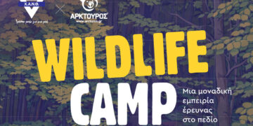Νυμφαίο: Wildlife Summer Camp για εφήβους από τη Χ.Α.Ν.Θ. και τον ΑΡΚΤΟΥΡΟ