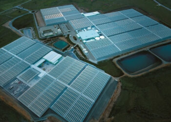 Wonderplant: Η μεγάλη επέκταση στην Πτολεμαΐδα και οι ΣΗΘΥΑ ισχύος 30 MW