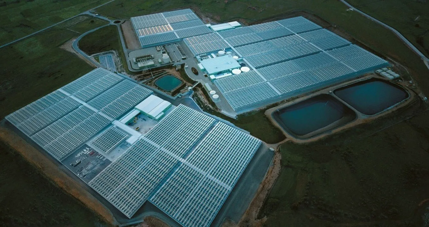 Wonderplant: Η μεγάλη επέκταση στην Πτολεμαΐδα και οι ΣΗΘΥΑ ισχύος 30 MW