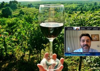 Του… Βελιγραδίου το ανάγνωσμα (ξανά) στην Περιφερειακή Επιτροπή  -Κριτική Χριστοφορίδη & Βόσδου για δράσεις οινοτουρισμού