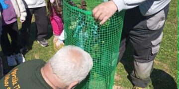 Ένας άνδρας με αναπηρία βοηθάει παιδιά να φυτέψουν ένα δενδρύλλιο στο 8ο Νηπιαγωγείο Φλώρινας κατά τη δράση Δεντροφύτευση Φλώρινα.