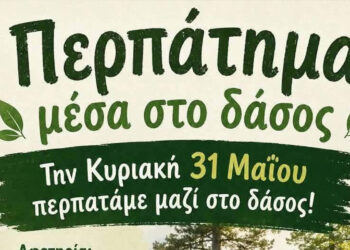 Περπάτημα μέσα στο δάσος με αφετηρία το Πάρκο Ελαφιών