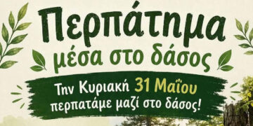Περπάτημα μέσα στο δάσος με αφετηρία το Πάρκο Ελαφιών