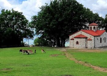 Πεζοπορία στο Πάρκο Ελαφιών Αγίου Παντελεήμονα, στον Άγιο Δημήτριο Κοζάνης