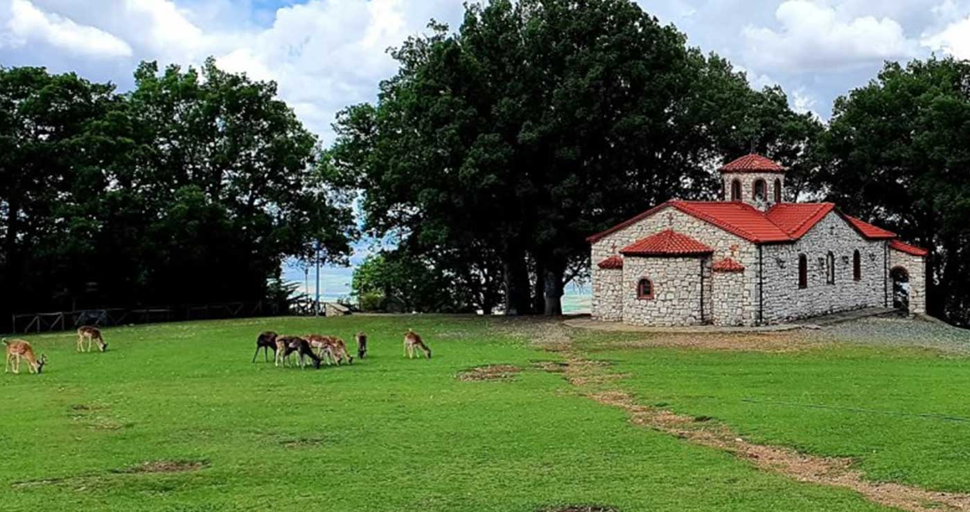 Πεζοπορία στο Πάρκο Ελαφιών Αγίου Παντελεήμονα, στον Άγιο Δημήτριο Κοζάνης