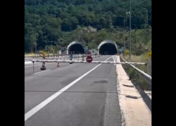 Πρόβατα έκαναν την εμφάνισή τους στην Εγνατία Οδό (Βίντεο)