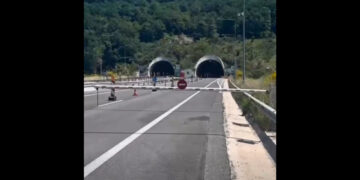 Πρόβατα έκαναν την εμφάνισή τους στην Εγνατία Οδό (Βίντεο)