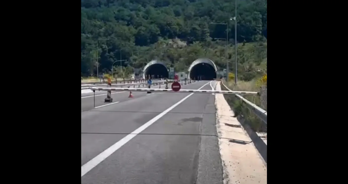 Πρόβατα έκαναν την εμφάνισή τους στην Εγνατία Οδό (Βίντεο)