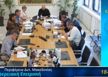 «Μας βάζετε ταφόπλακα»: Κραυγή αγωνίας των γονέων για τις Δομές με Αυτισμό – «Στηρίξτε το σύλλογο κι όχι ιδιώτες», λέει ο Σύλλογος στην Περιφέρεια