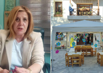 Πτολεμαΐδα: Αγωνία για το μέλλον της Δημοτικής Βιβλιοθήκης από τη Σοφία Καλμανίδου – «Αδιαφορία και έλλειψη στήριξης»