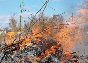 Πρόστιμα 500 ευρώ σε Κοζάνη και Φλώρινα από την Πυροσβεστική για καύση υπολειμμάτων