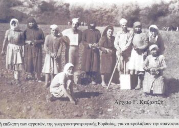 Από την έναρξη της καπνοφυτείας στο γειτονικό μας Προάστειο το Μαΐου 1949 – Από τη στήλη του Γ. Καζαντζή στον ΠΑΛΜΟ