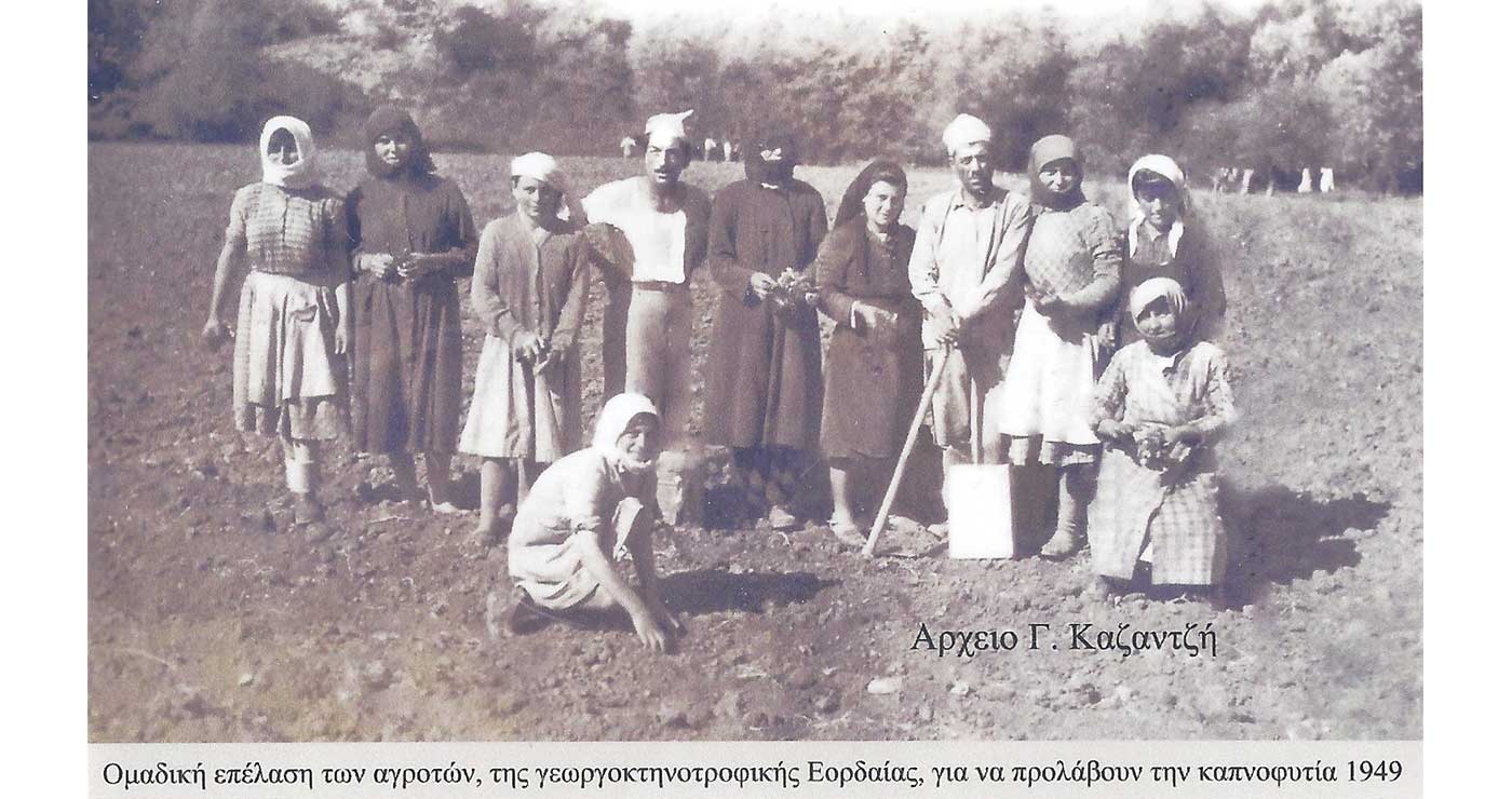 Από την έναρξη της καπνοφυτείας στο γειτονικό μας Προάστειο το Μαΐου 1949 – Από τη στήλη του Γ. Καζαντζή στον ΠΑΛΜΟ