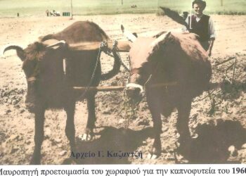 Σκηνογραφία της Γεωργοκτηνοτροφικής Εορδαίας το 1960 – Από τη στήλη του Γ. Καζαντζή στον ΠΑΛΜΟ