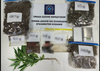 Κοζάνη: Συνελήφθη 51χρονος για διακίνηση ναρκωτικών και καλλιέργεια κάνναβης