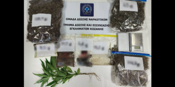 Κοζάνη: Συνελήφθη 51χρονος για διακίνηση ναρκωτικών και καλλιέργεια κάνναβης