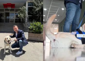 Το νοσοκομείο «Μεταξά» υποδέχθηκε επίσημα τον Ντύλαν, τον πρώτο σκύλο θεραπείας