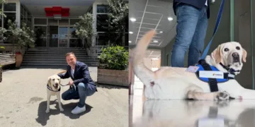 Το νοσοκομείο «Μεταξά» υποδέχθηκε επίσημα τον Ντύλαν, τον πρώτο σκύλο θεραπείας