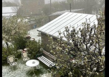 Νυμφαίο: Οι εποχές «μπερδεύτηκαν» και το τοπίο ντύθηκε στα λευκά (Φωτογραφίες)