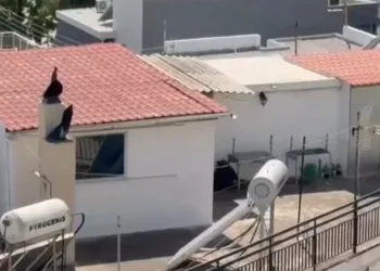 Καταδικάστηκαν σε ποινή φυλάκισης 16 μηνών οι γονείς για το σπίτι-«τρώγλη» στο Περιστέρι