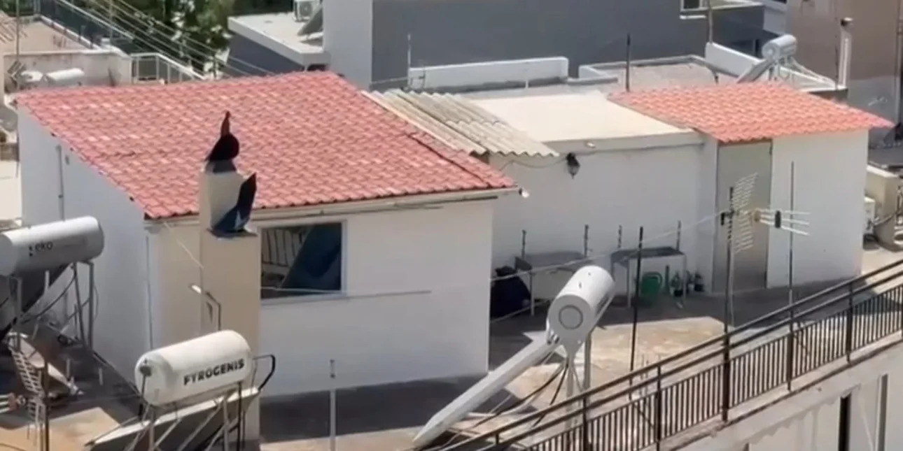 Καταδικάστηκαν σε ποινή φυλάκισης 16 μηνών οι γονείς για το σπίτι-«τρώγλη» στο Περιστέρι