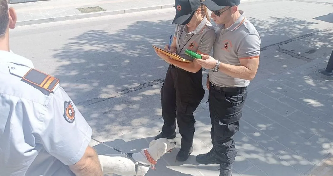 Δημοτικοί αστυνομικοί Φλώρινας ελέγχουν ένα σκυλί σε δημόσιο χώρο, σημειώνοντας παρατηρήσεις σε έναν πίνακα.