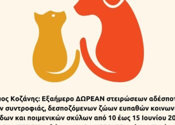 Ένα σκυλί και μια γάτα στέκονται δίπλα δίπλα, συμβολίζοντας τις δωρεάν στειρώσεις ζώων συντροφιάς που διοργανώνει ο Δήμος Κοζάνης.