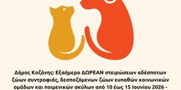 Ένα σκυλί και μια γάτα στέκονται δίπλα δίπλα, συμβολίζοντας τις δωρεάν στειρώσεις ζώων συντροφιάς που διοργανώνει ο Δήμος Κοζάνης.