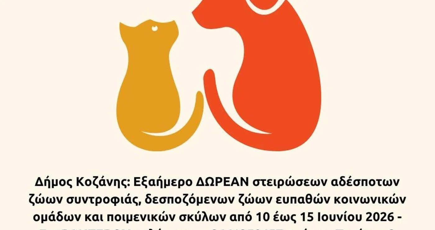 Ένα σκυλί και μια γάτα στέκονται δίπλα δίπλα, συμβολίζοντας τις δωρεάν στειρώσεις ζώων συντροφιάς που διοργανώνει ο Δήμος Κοζάνης.