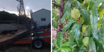 Βιβλική καταστροφή στο Αμύνταιο- Παρέσυρε τα πάντα η βροχή και το έντονο χαλάζι- Σε απόγνωση οι αγρότες: «Μας κόπηκαν τα πόδια…»