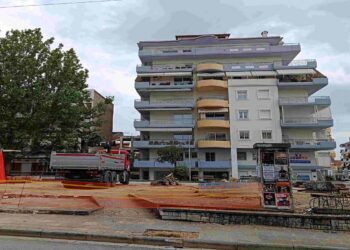 Καταγγελία της Οικολογικής Κίνησης Κοζάνης για κοπή δέντρων στα Αλώνια