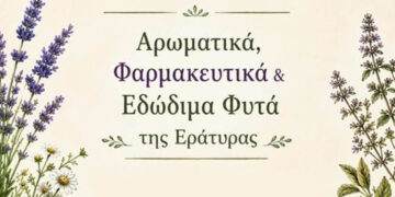 Δήμος Βοΐου: Εκδήλωση για τα Αρωματικά, φαρμακευτικά & εδώδιμα φυτά της Εράτυρας το Σάββατο 20/6
