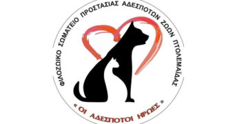 Φιλοζωικό Σωματείο Προστασίας Αδέσποτων Πτολεμαΐδας: Στα ορυχεία δεν έμειναν μόνο άδεια κτίρια. Έμειναν και ζωές