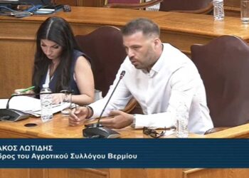 Κυριάκος Λωτίδης στη Διακομματική Επιτροπή της Βουλής: “Αλλάξτε τον κανονισμό ΕΛΓΑ, είναι απλό” – VIDEO