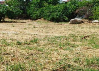 Από σήμερα οι έλεγχοι και οι καταγγελίες για τα ακαθάριστα οικόπεδα – Κεσκερίδης: Υπεύθυνοι οι πολίτες για την απόρριψη των χόρτων