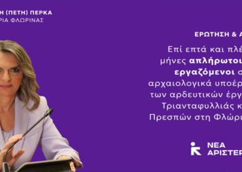 Πέρκα: Επτά μήνες απλήρωτοι οι εργαζόμενοι στα αρχαιολογικά έργα Τριανταφυλλιάς και Πρεσπών στη Φλώρινα – Ερώτηση στη Βουλή