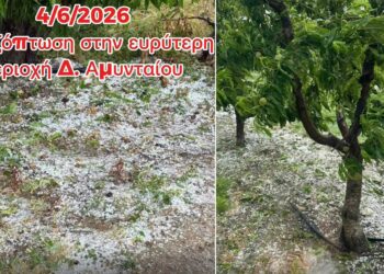 Έντονη χαλαζόπτωση στο Αμύνταιο – Αναμένονται κλιμάκια του ΕΛΓΑ (video)