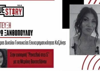 Δίκτυο Γυναικών Επιχειρηματιών Κοζάνης: Α. Ξανθοπούλου για τον ρόλο και την πρώτη ενημερωτική συνάντηση