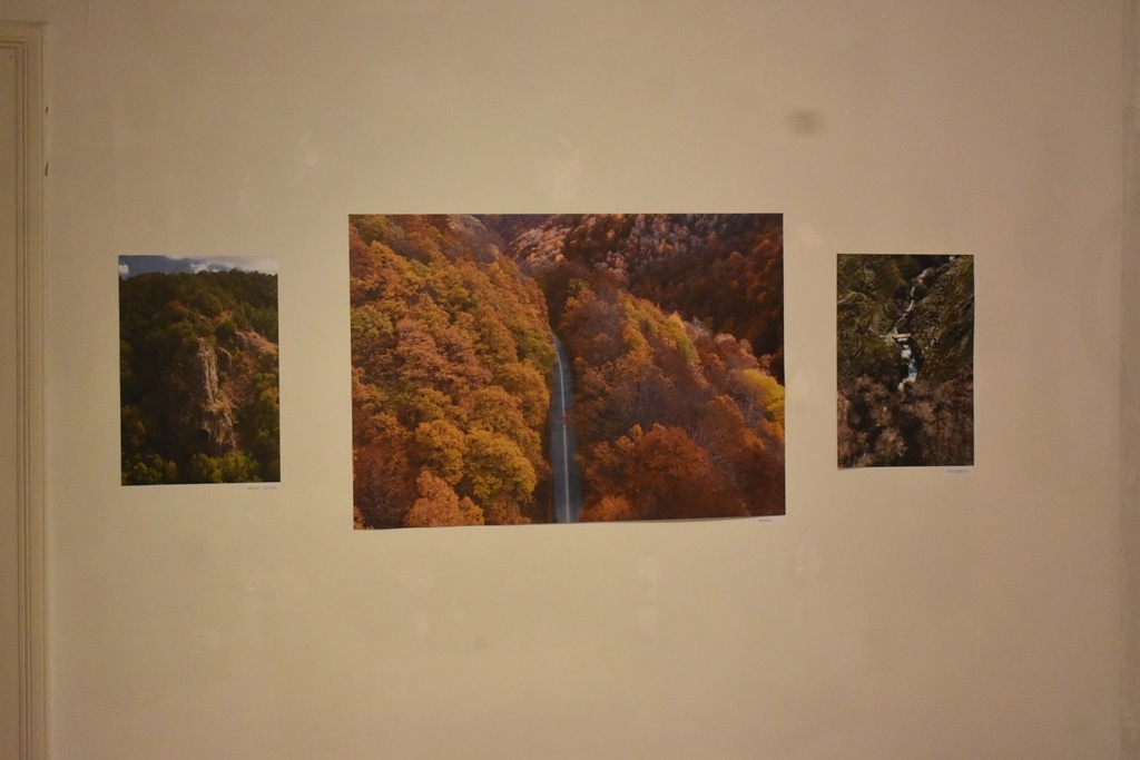 DSC_0478_compressed.jpg
