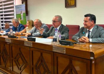 Παπαθανάσης: Δύο έργα-ορόσημο για την Πτολεμαΐδα – Αποκατάσταση της ΑΕΒΑΛ και Πράσινο Υδρογόνο (video)