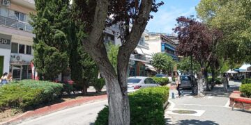 «Ανάσα» πρασίνου στην Πτολεμαΐδα: 116 νέα δέντρα – Απομακρύνονται 68 ακατάλληλα από πεζοδρόμια