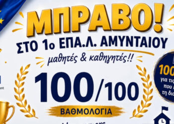 1o 1ο ΕΠΑ.Λ. Αμυνταίου: Διάκριση με 100/100 στα σχολεία – πρέσβεις του Ευρωπαϊκού Κοινοβουλίου