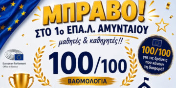 1o 1ο ΕΠΑ.Λ. Αμυνταίου: Διάκριση με 100/100 στα σχολεία – πρέσβεις του Ευρωπαϊκού Κοινοβουλίου